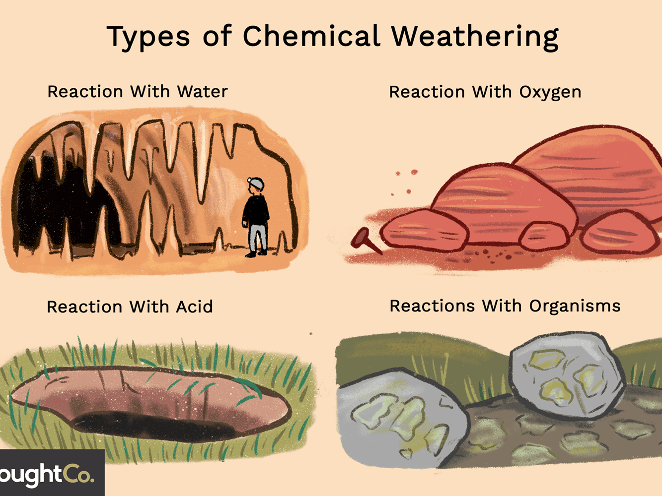 Weathering, erosion, deposition and abrasion Quizizz