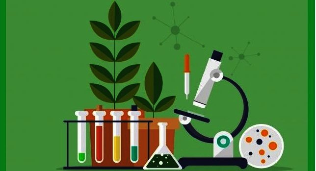 Keystone Biology Module 1 Practice | 826 plays | Quizizz