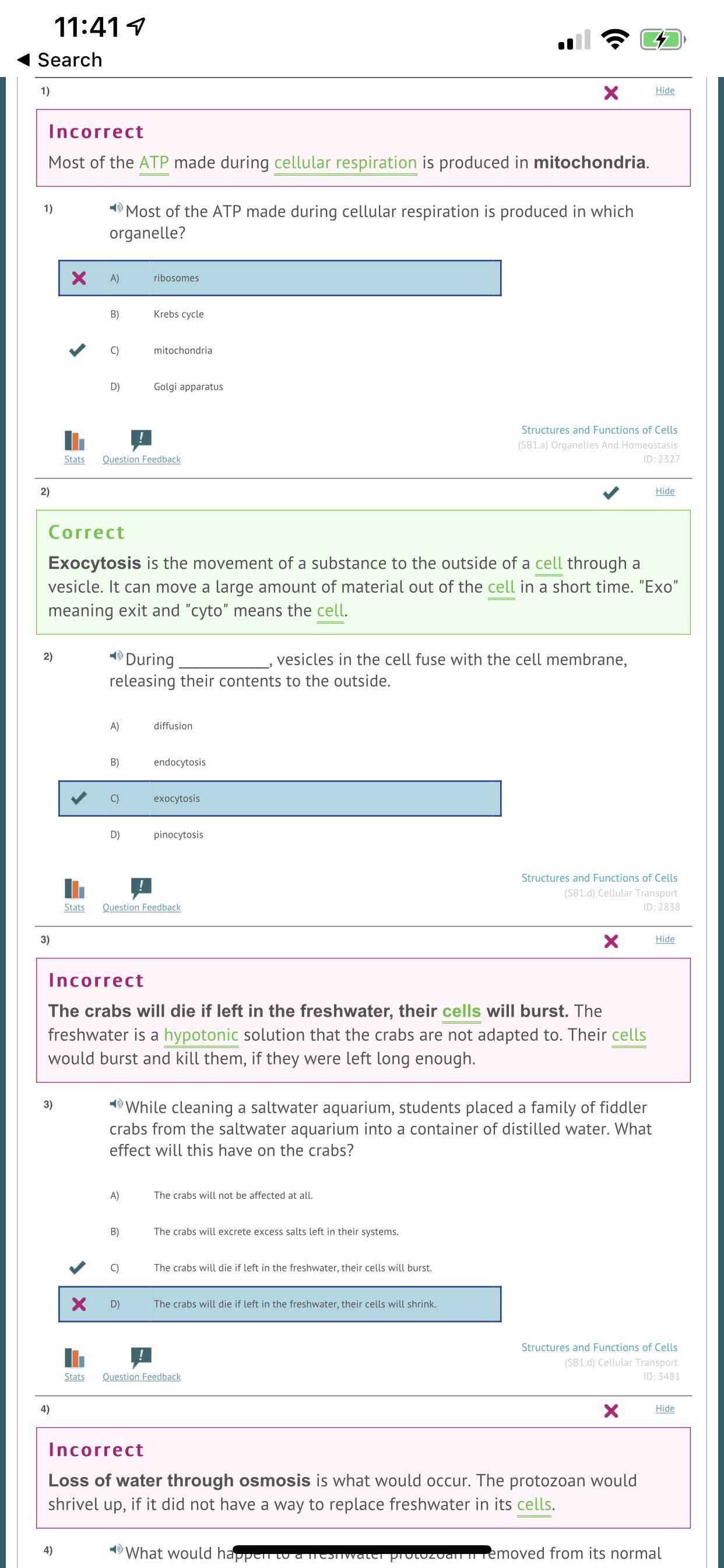 Playing Second Fiddle Answer Key Quizizz › Athens Mutual Student Corner