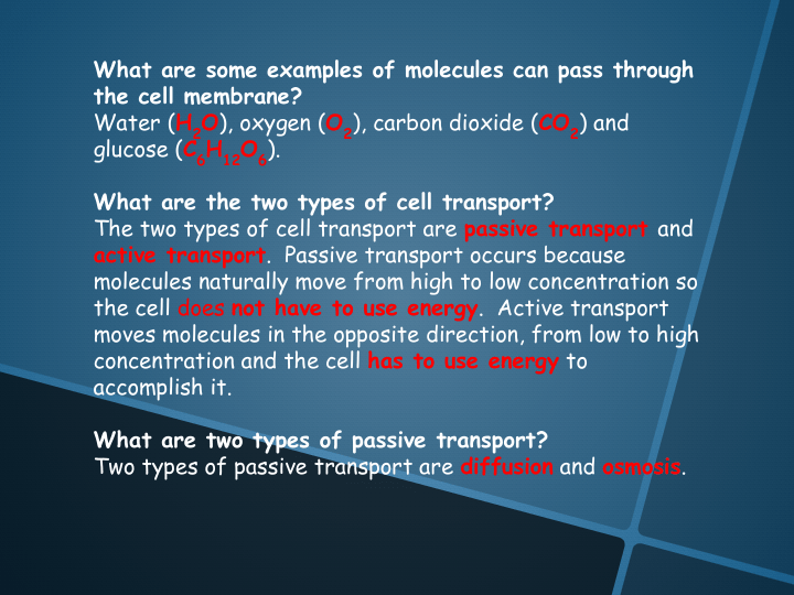 Cell Processes Science Quizizz