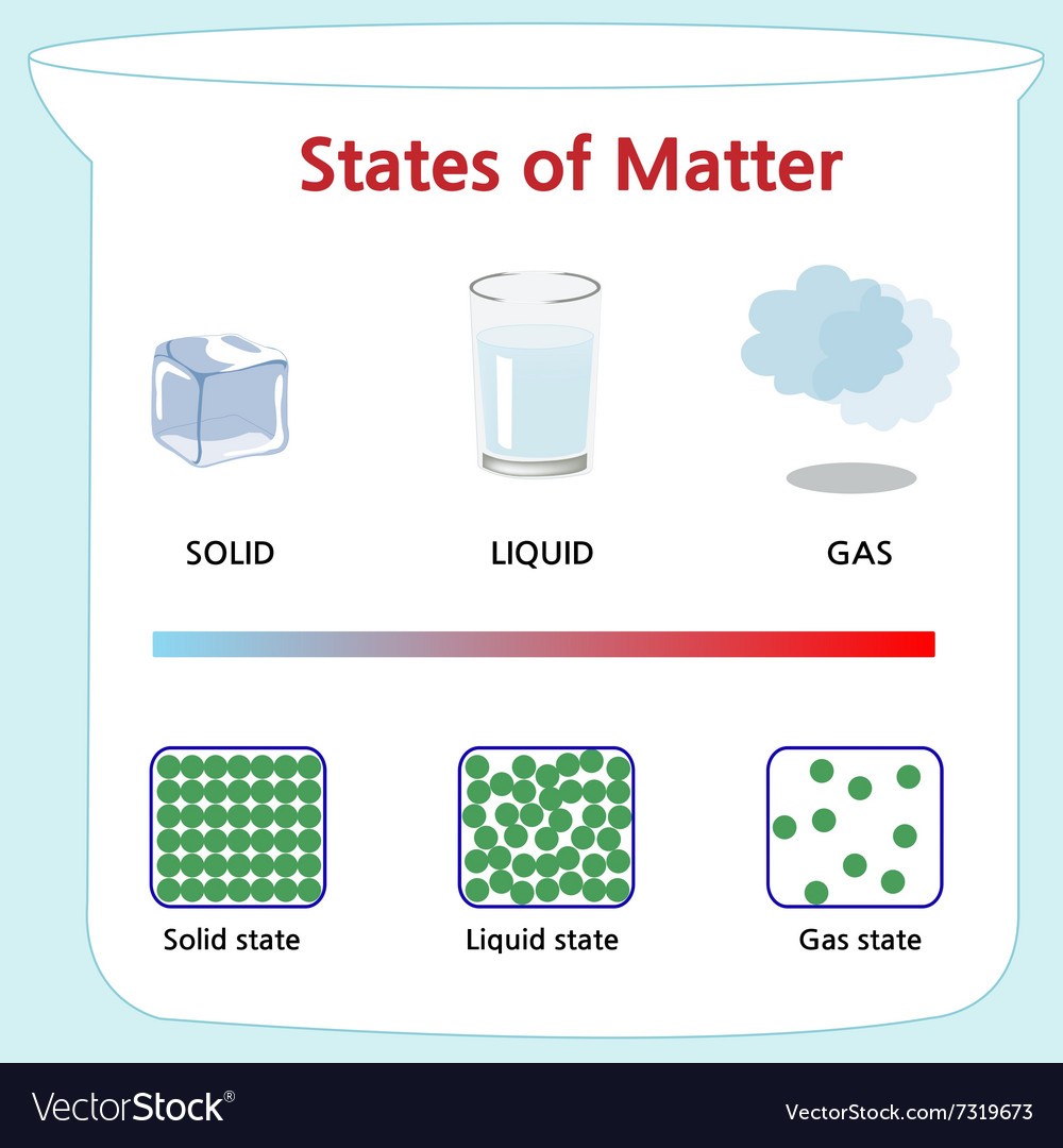 Chemical and Physical Changes Quiz Quizizz