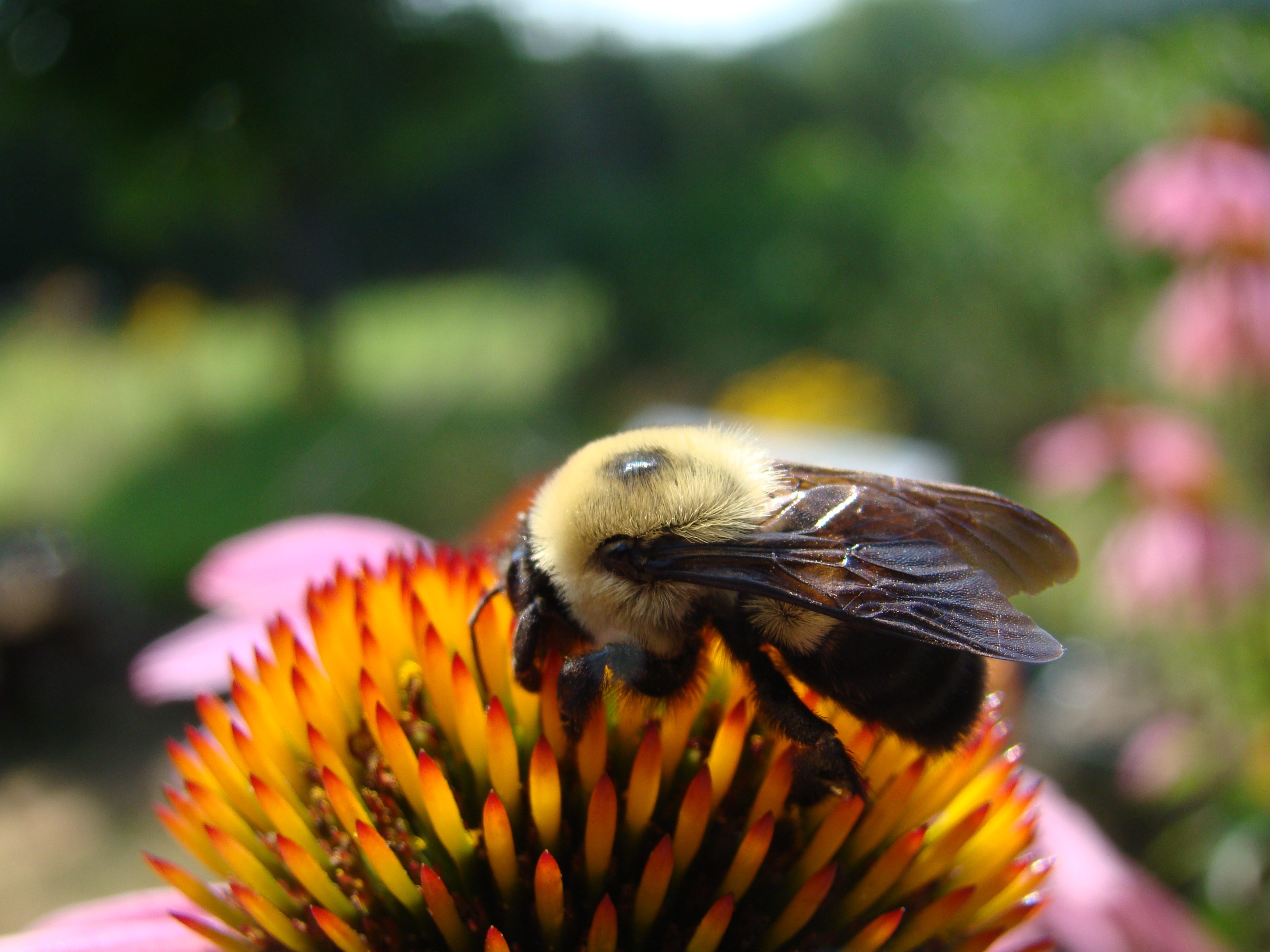 Decision Making Process (iCEV) | Quizizz
