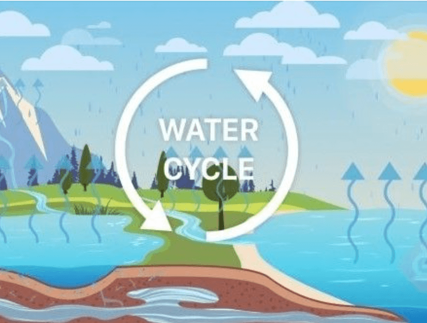 The Water Cycle Quizizz