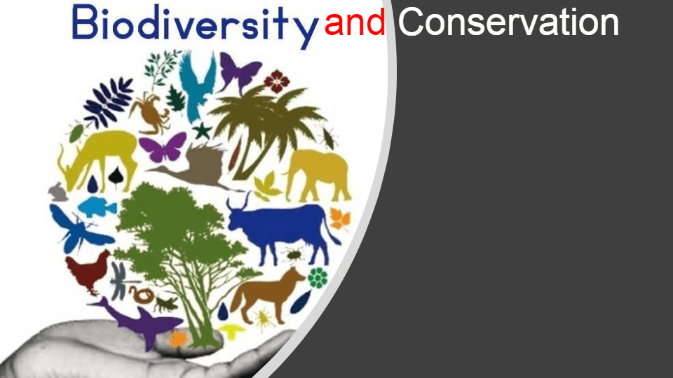 Biodiversity and conservation Science Quizizz