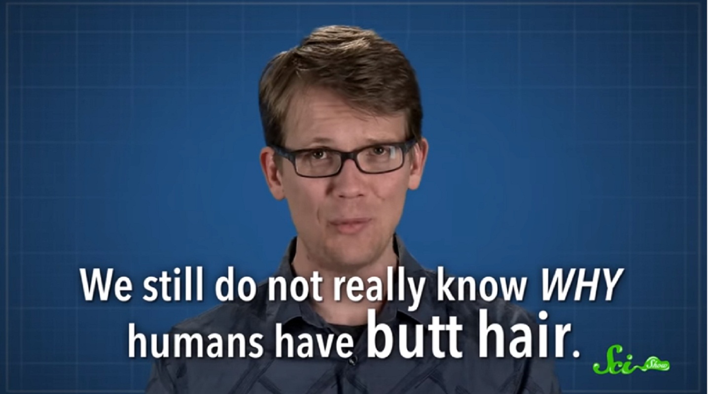 Ever Wondered What's The Reason Why We Have Butt Hair?