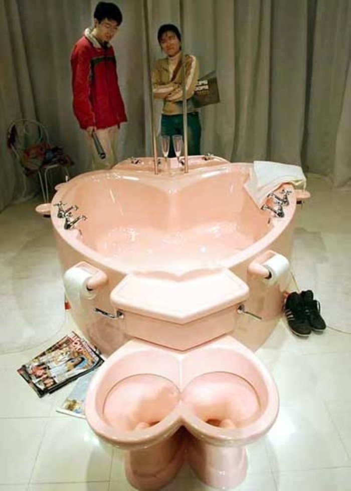 12 Bizarre Bathroom Designs Around The World