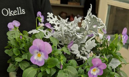 Garden Centres in Cheshire Garden Services Quoakle