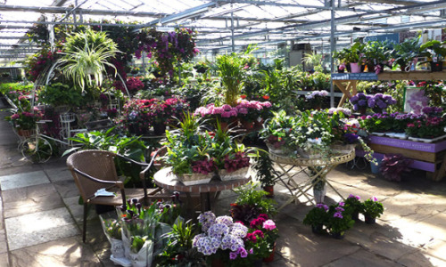 Garden Centres And Nurseries In North Yorkshire