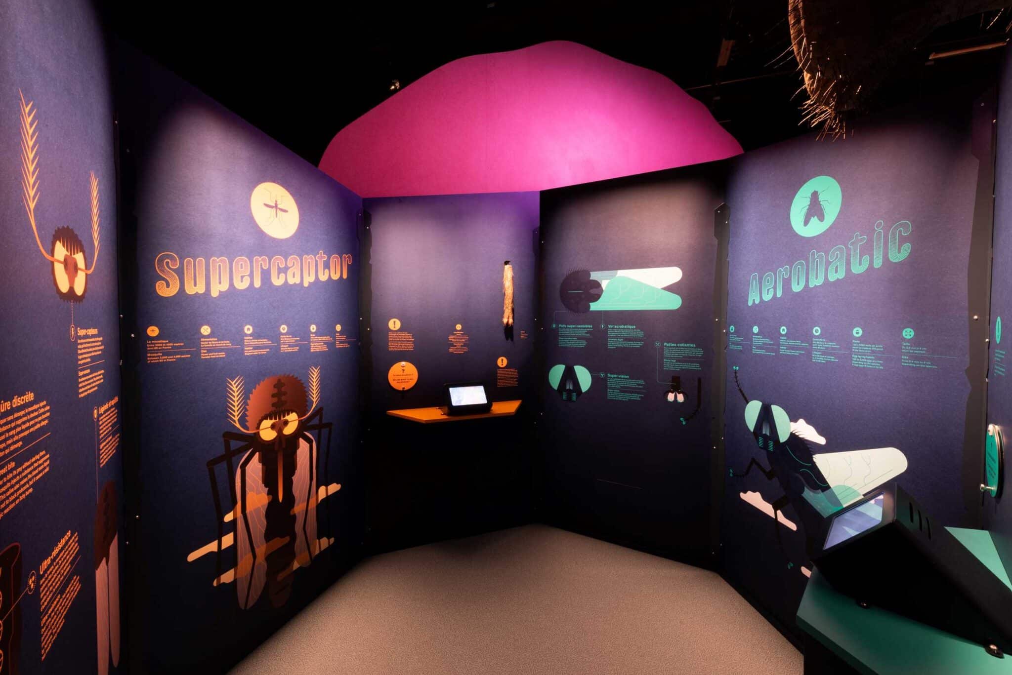 Cap sciences Une nouvelle expo à Bordeaux