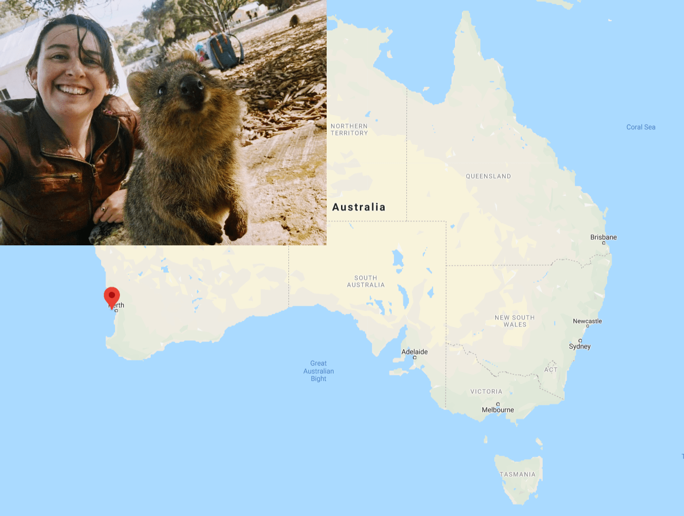 Building Quokka on Demand