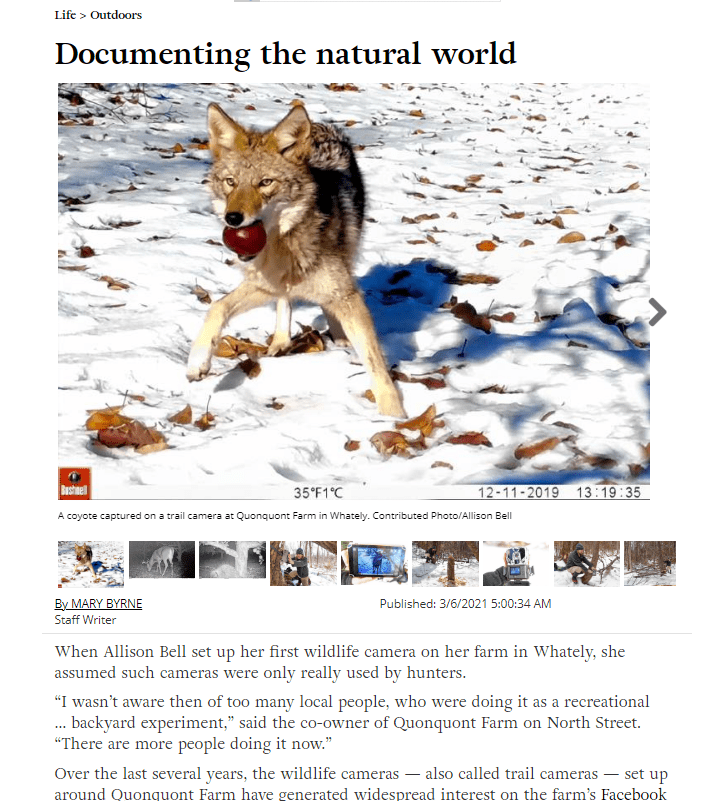 Greenfield Recorder Documenting the Natural World Quonquont Farm