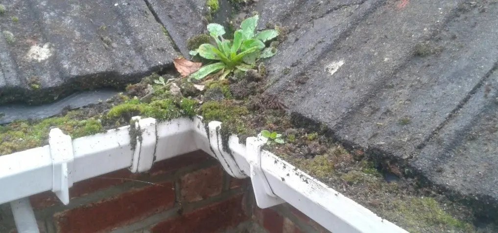 What is the Average Price to Clean Gutters? (Gutter
