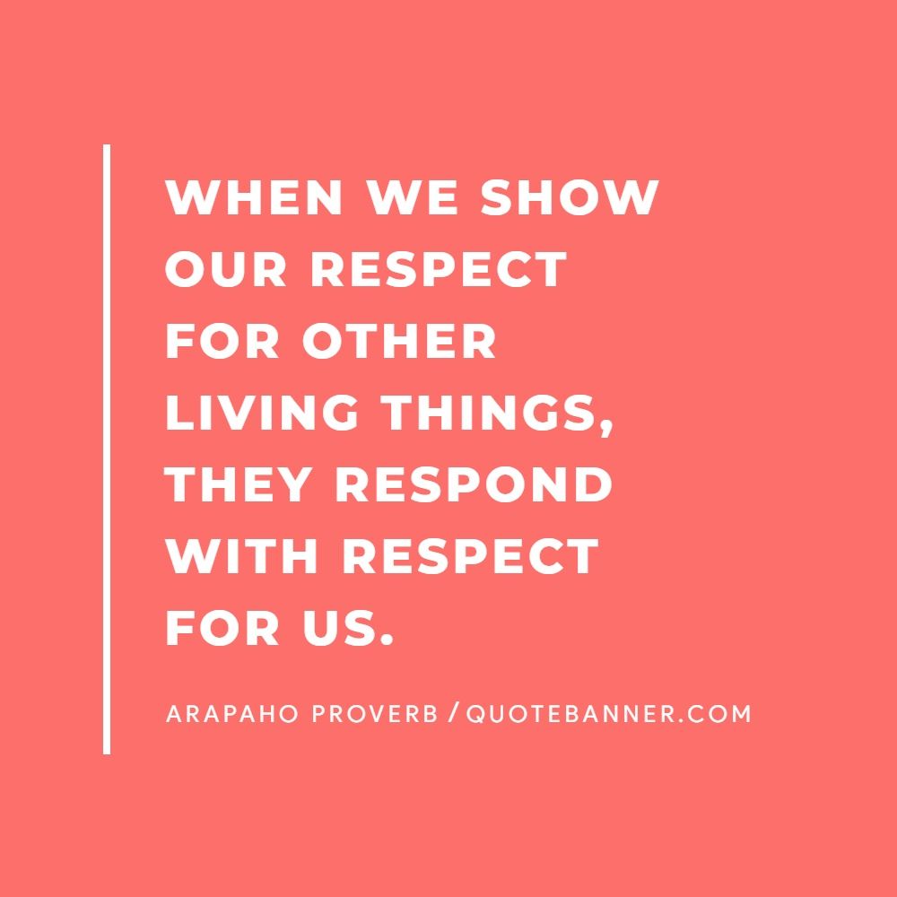 ARAPAHO PROVERB quote When we show our respect for other living...