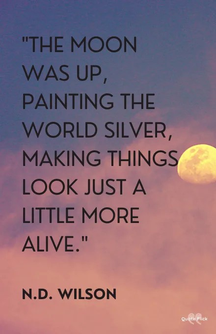 look at the moon quotes 51 Moon Quotes To Provide Inspiration And Beautiful Captions