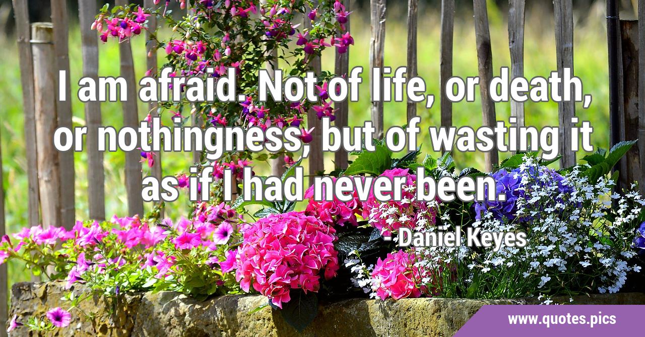 Flowers For Algernon Quotes About Happiness Best Flower Site