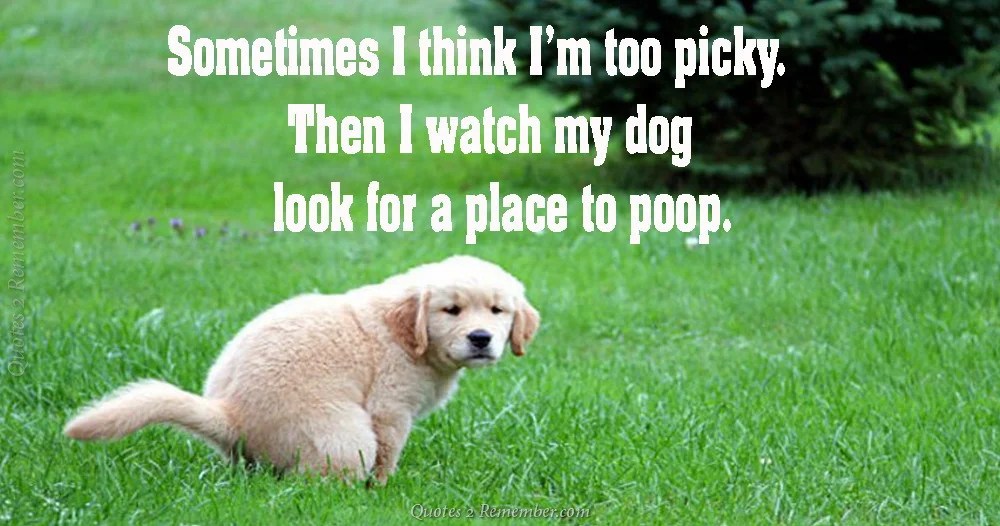 Sometimes I think I’m too picky… Quotes 2 Remember