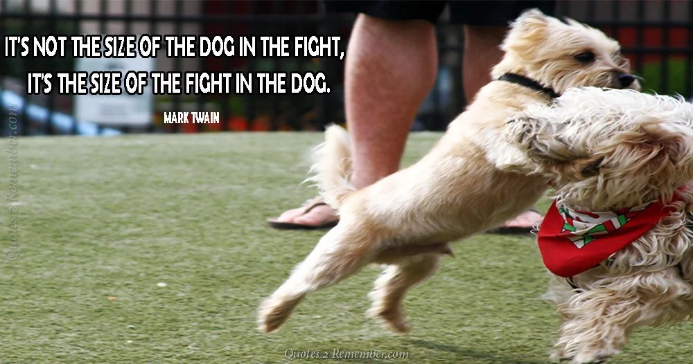 It’s not the size of the dog… Quotes 2 Remember