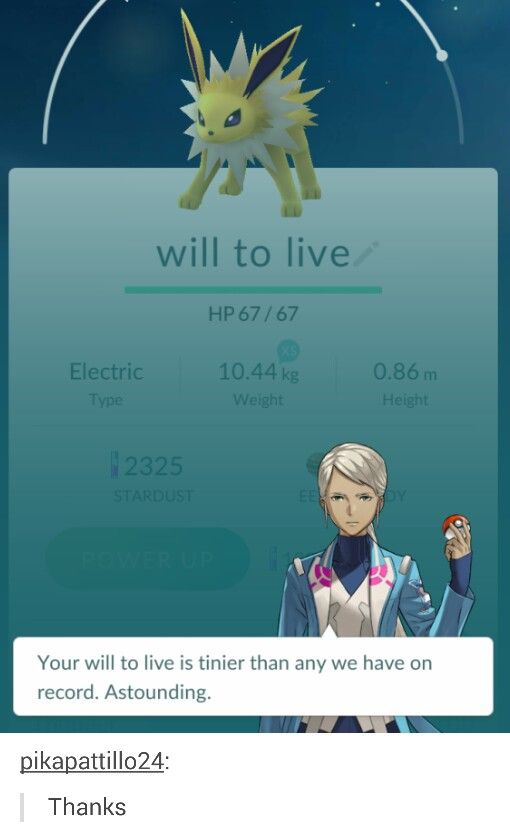Pokemon Go Memes