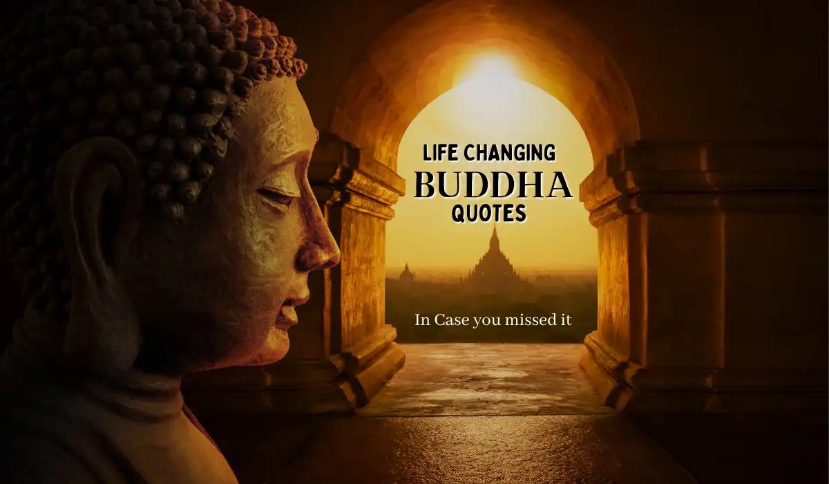 151+ Inspiring Buddha Quotes to Transform your Life {2023}