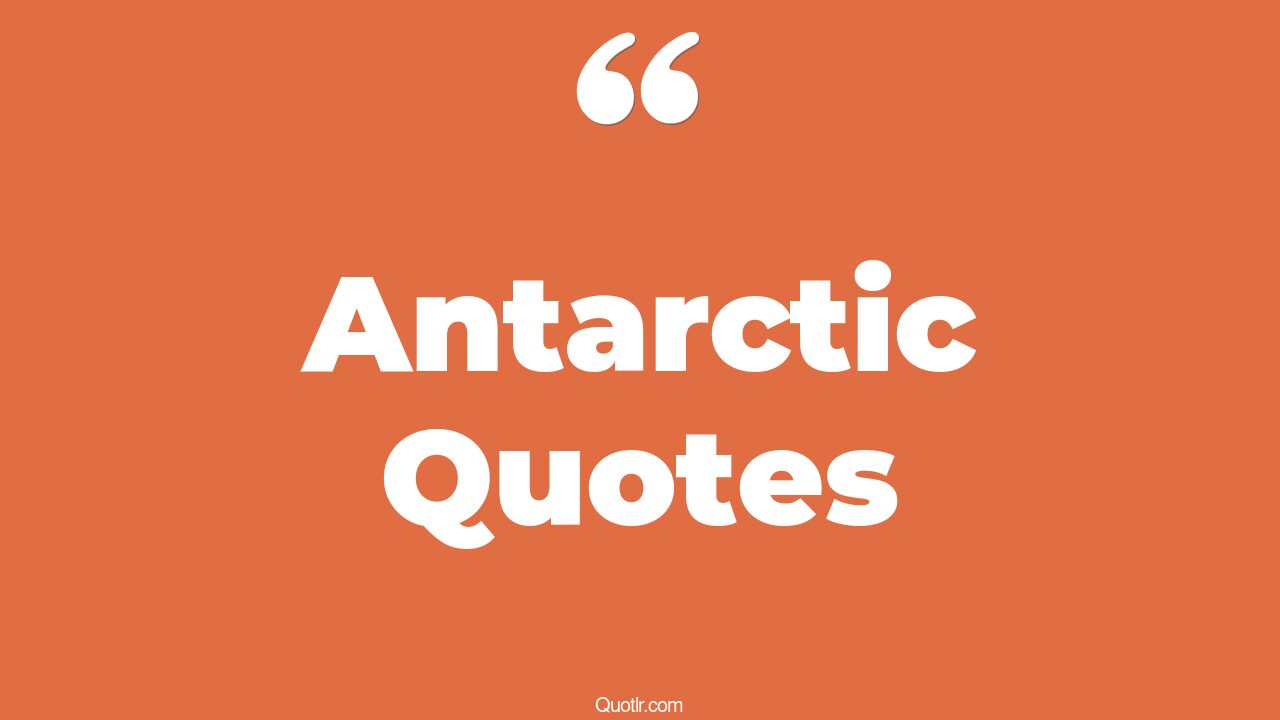 28+ Impressive Antarctic Quotes That Will Unlock Your True Potential