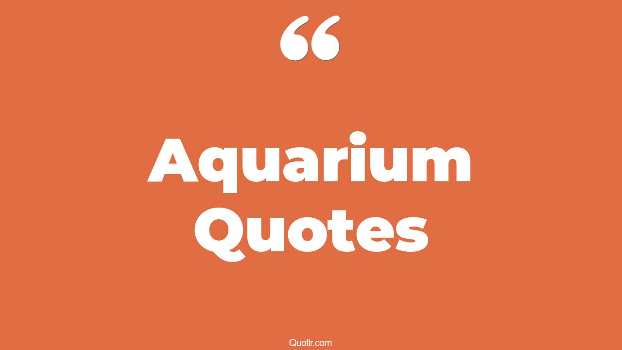 82 Sensual Aquarium Quotes (fish aquarium, watching fish in aquarium