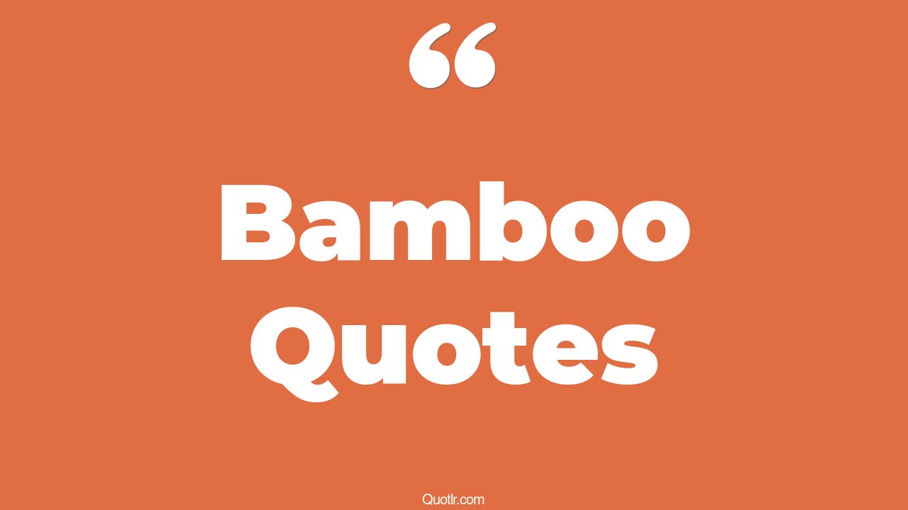 45+ Revealing Bamboo Quotes That Will Unlock Your True Potential