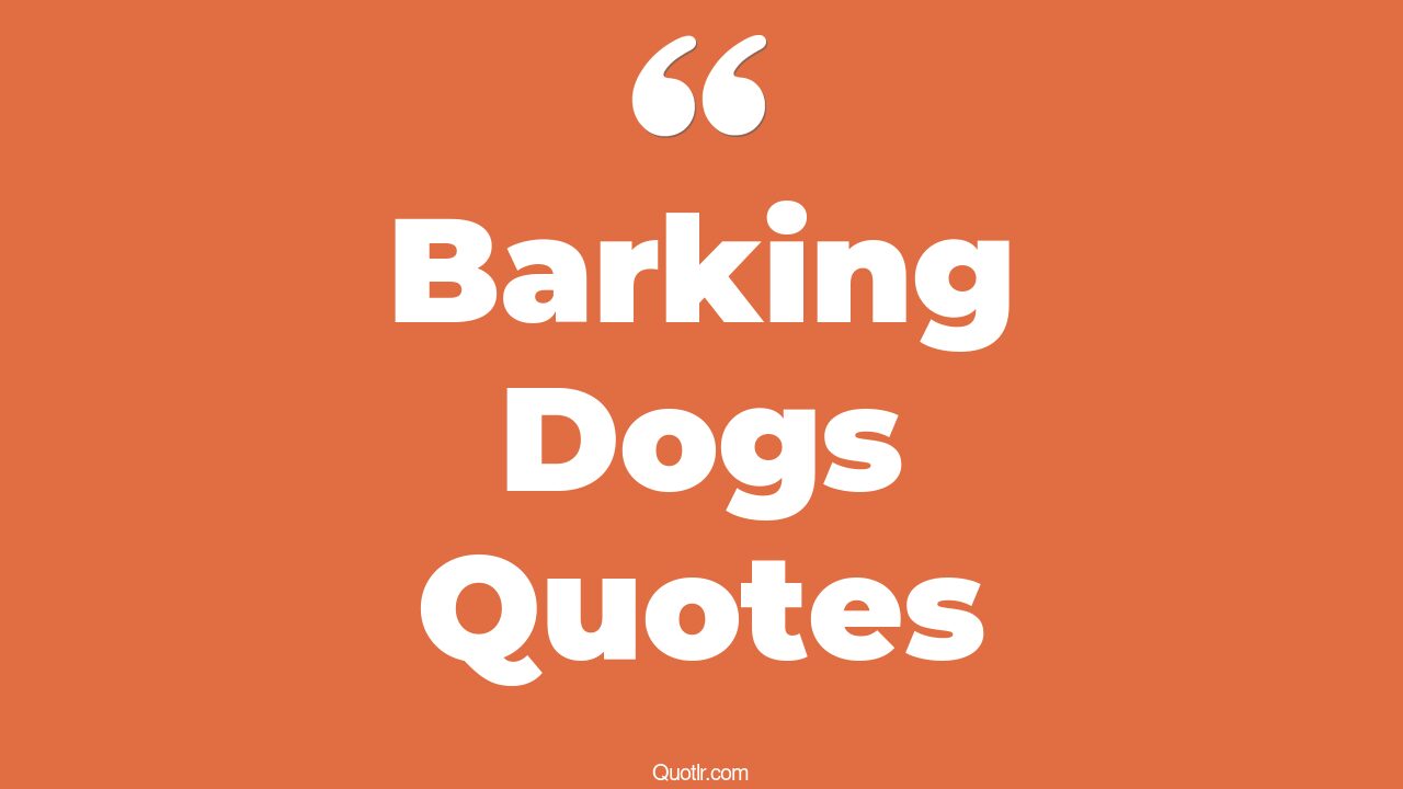 45+ Unconventional Barking Dogs Quotes That Will Unlock Your True Potential
