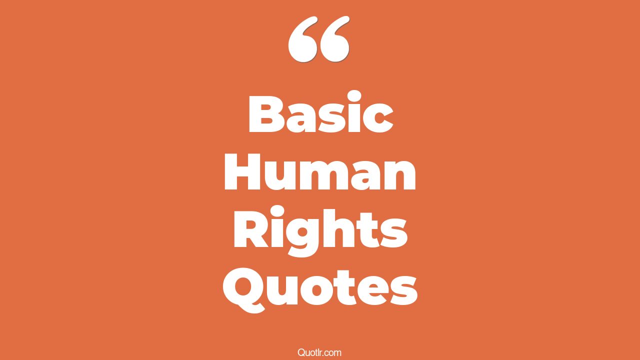 105+ Craziest Basic Human Rights Quotes That Will Unlock Your True