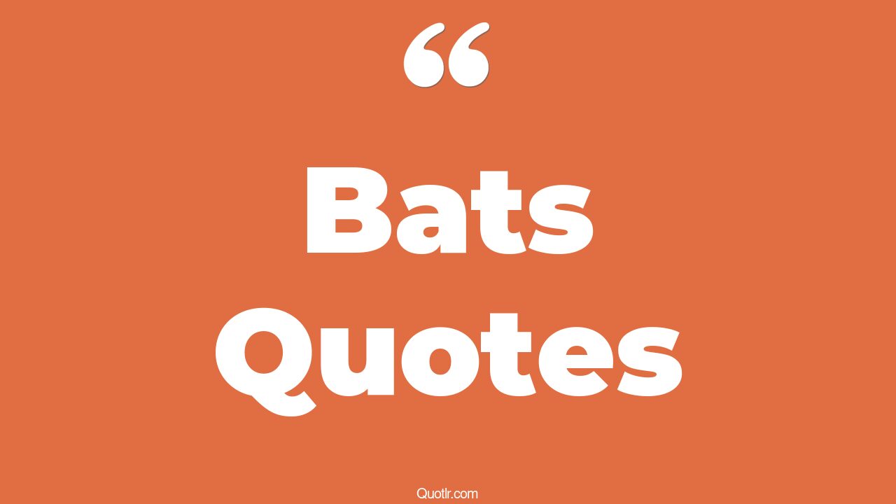 45 Relaxing Bats Quotes baseball bat, cricket bat quotes