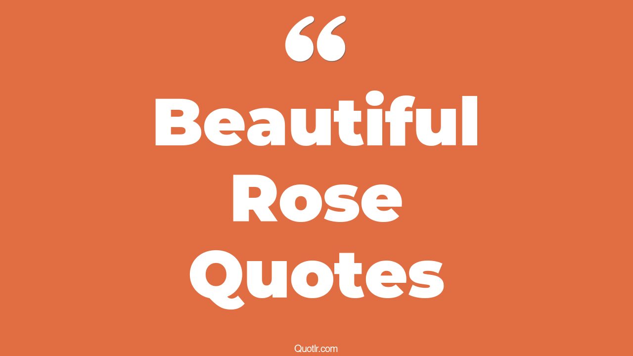 45 Beautiful Good Morning Beautiful Rose Quotes love beautiful rose