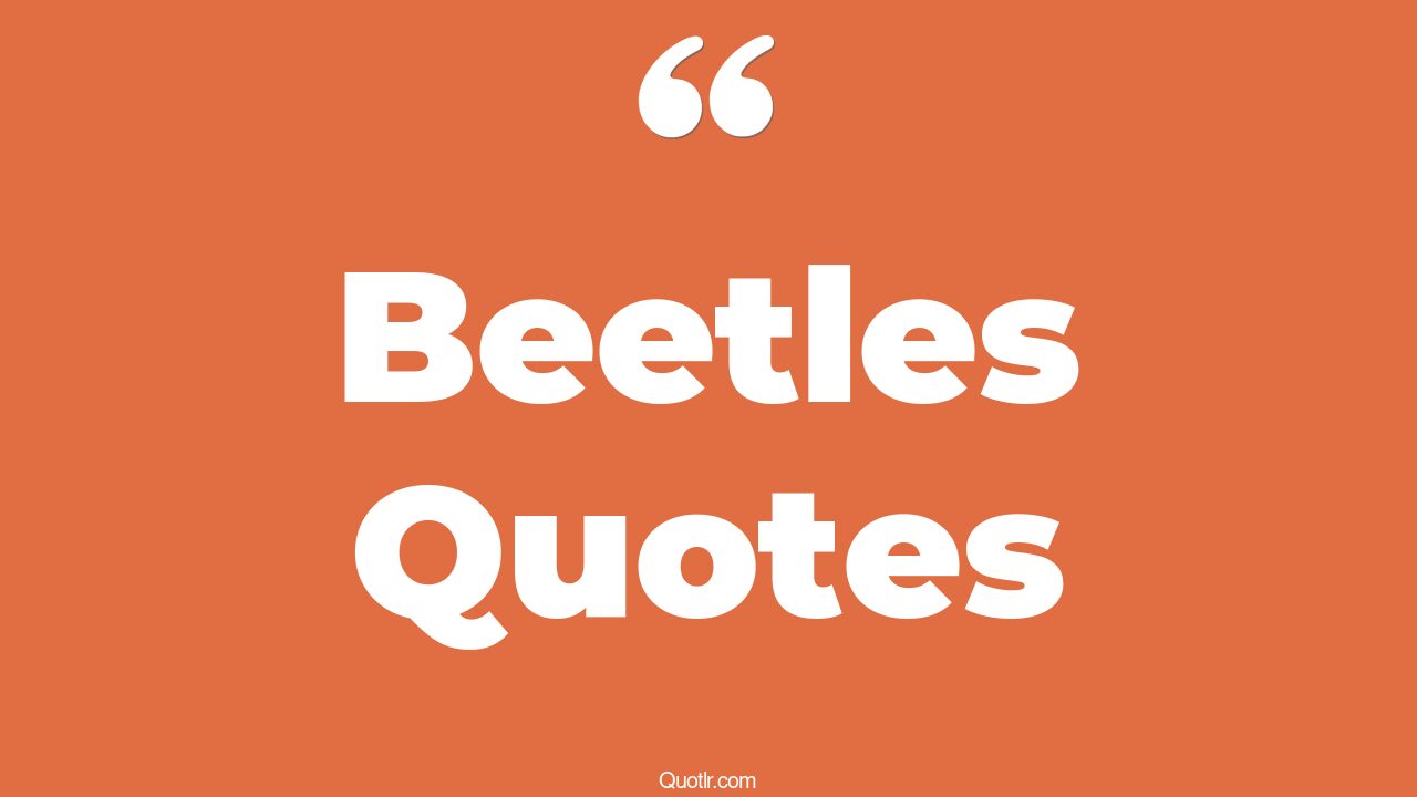 80 Authentic Beetles Quotes (blue beetle, vw beetle, miss benson's beetle)