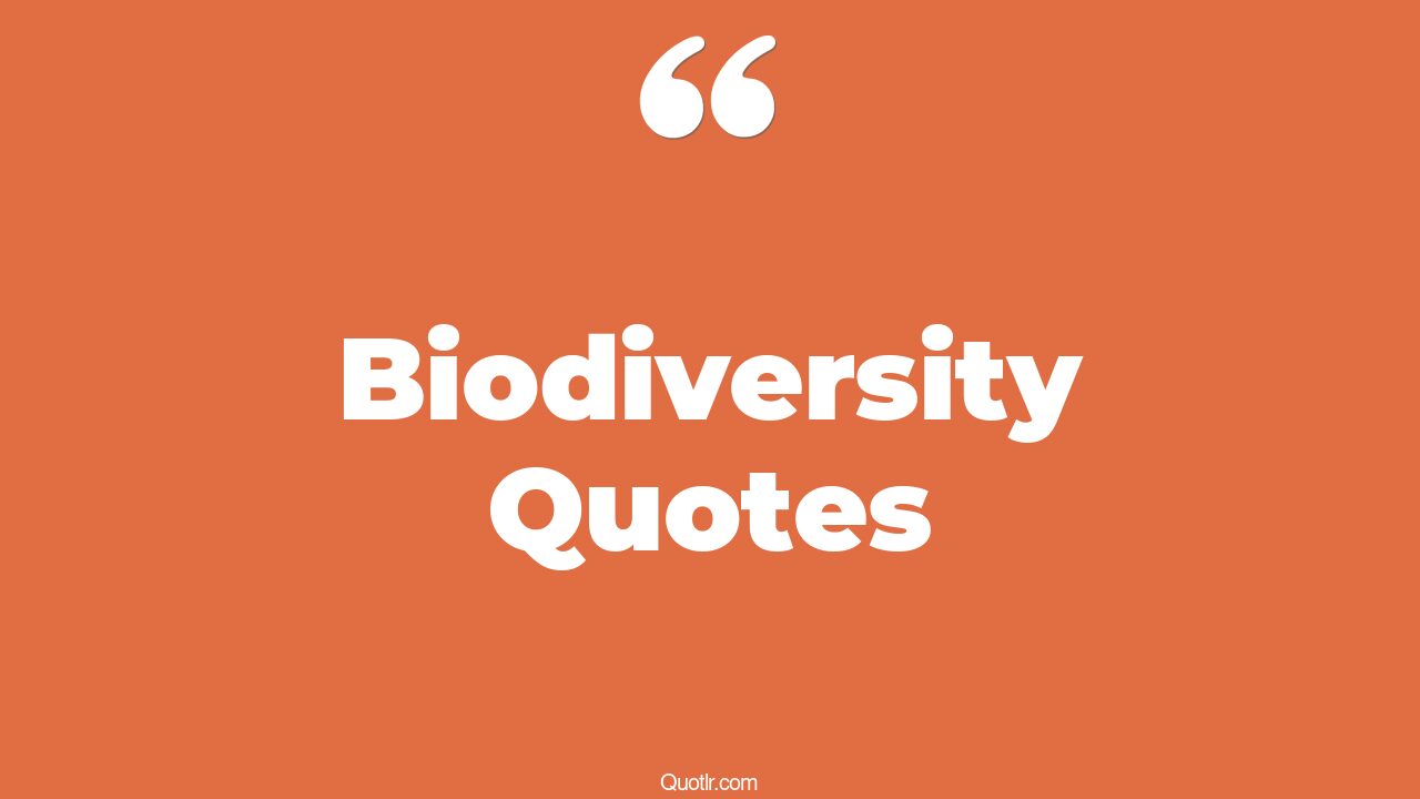 80 Informative Biodiversity Quotes (loss of biodiversity, importance of biodiversity, save