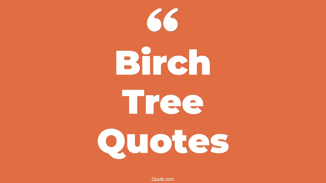 15+ EyeOpening Birch Tree Quotes That Will Inspire Your Inner Self