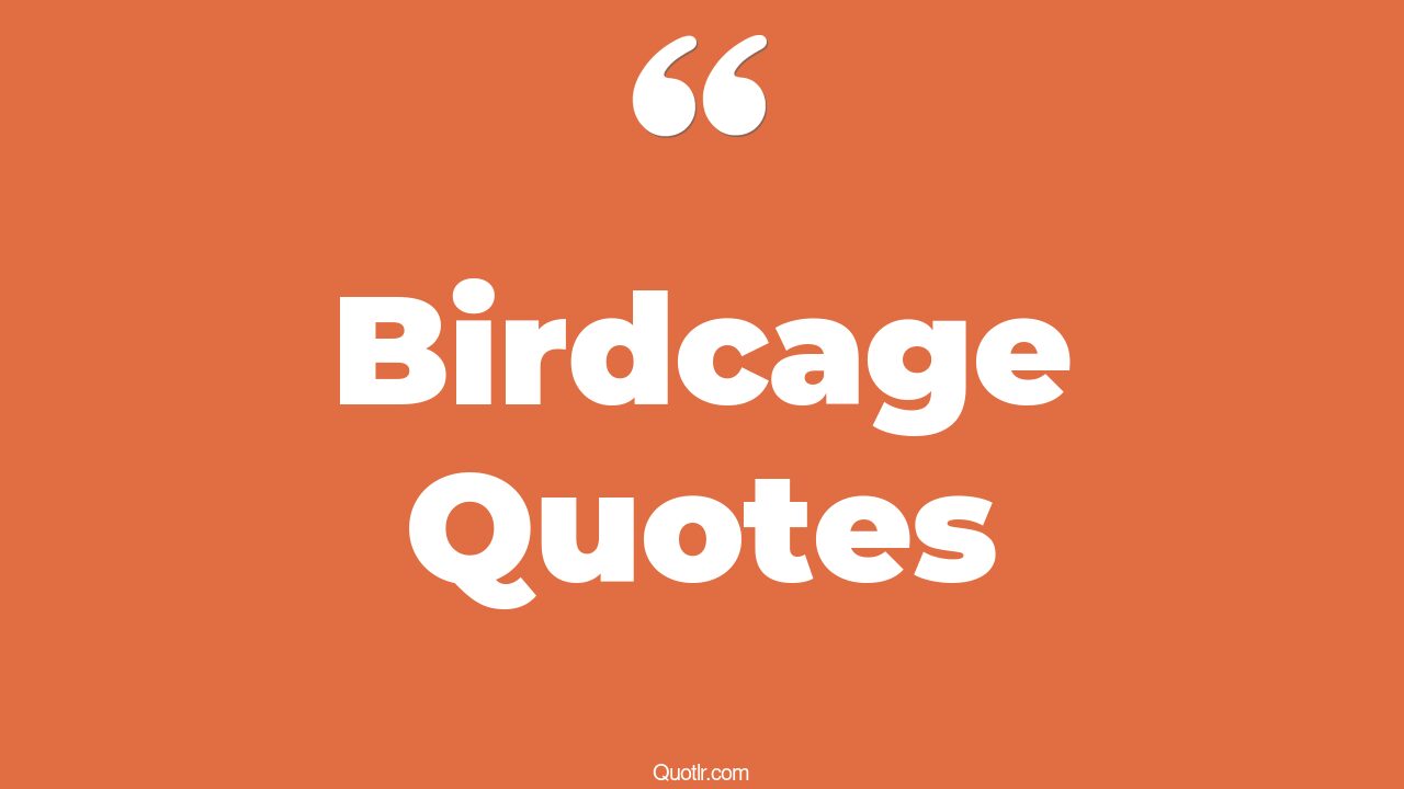 12+ EyeOpening Birdcage Quotes That Will Inspire Your Inner Self