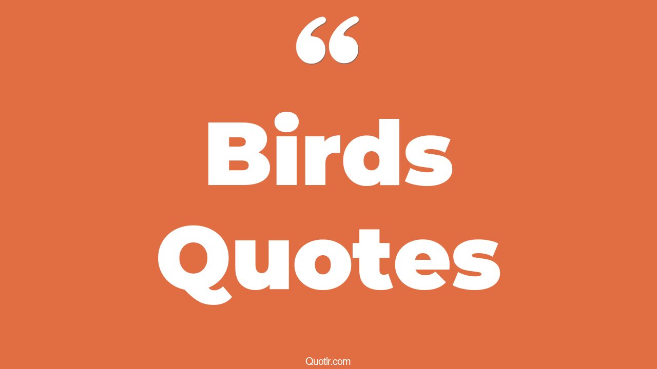 35 Revolutionary Birds Quotes free bird, early bird quotes