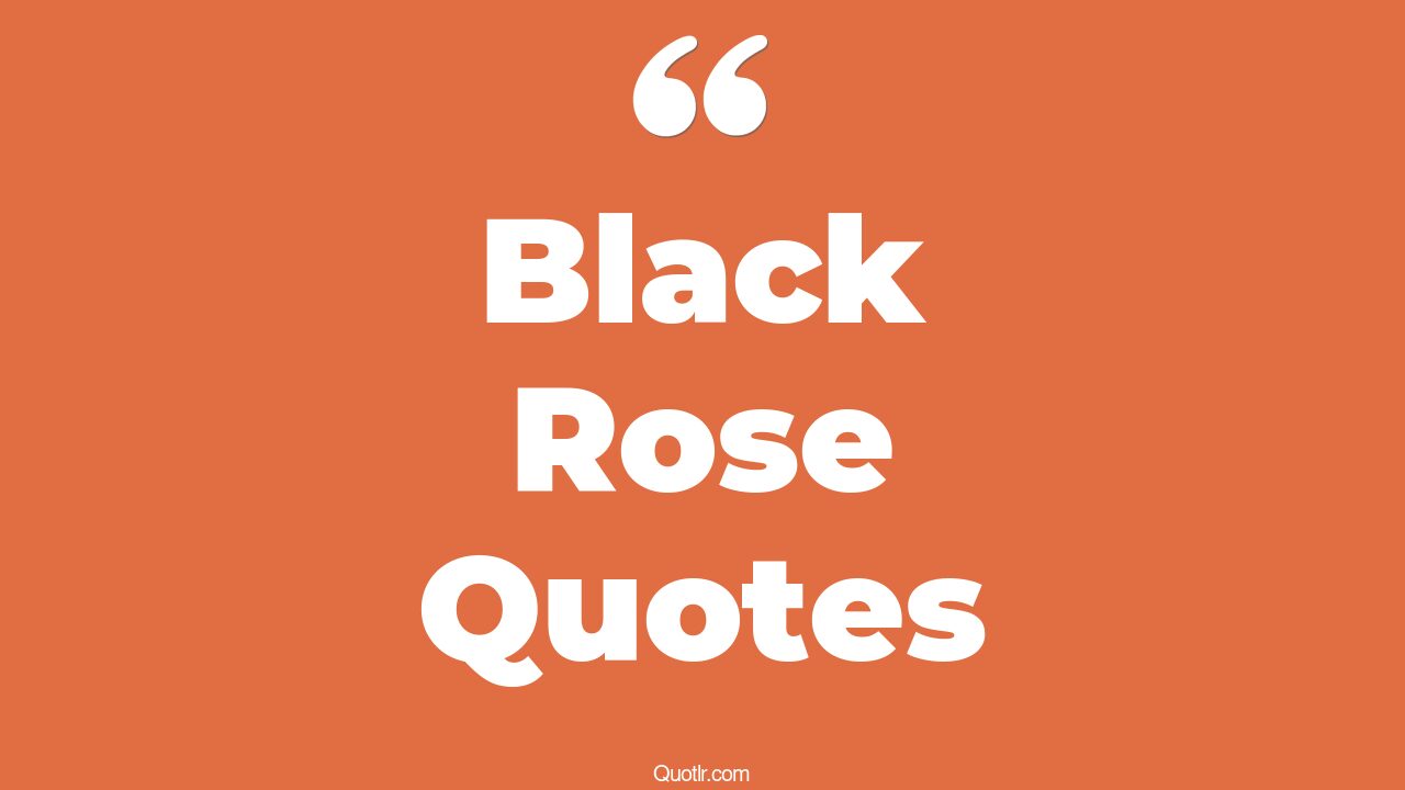 31+ EyeOpening Black Rose Quotes That Will Inspire Your Inner Self