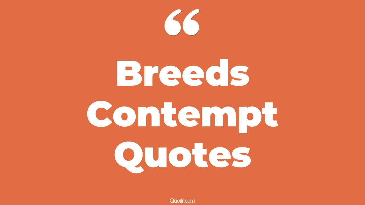33+ EyeOpening Breeds Contempt Quotes That Will Inspire Your Inner Self