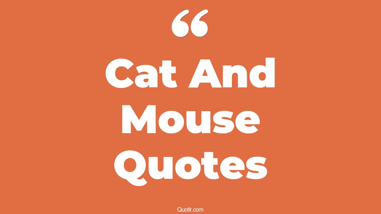 28+ Fulfilling Cat And Mouse Quotes That Will Unlock Your True Potential
