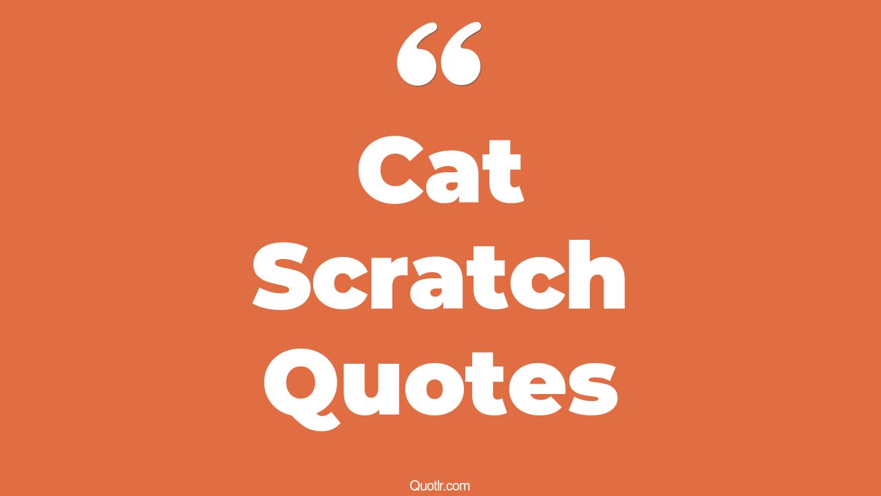 15+ EyeOpening Cat Scratch Quotes That Will Inspire Your Inner Self