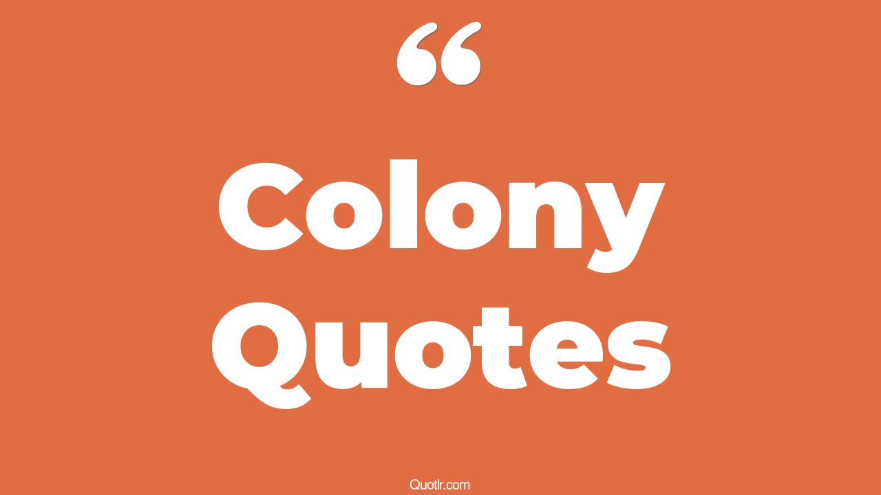 503+ Practical Colony Quotes That Will Unlock Your True Potential