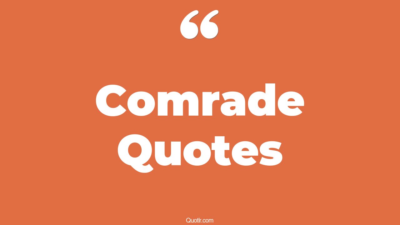 45+ Vibrant Comrade Quotes That Will Unlock Your True Potential