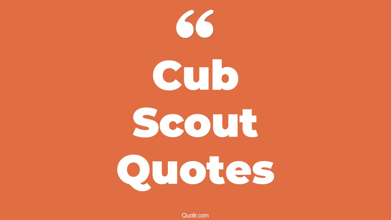 11+ Thrilling Cub Scout Quotes That Will Unlock Your True Potential