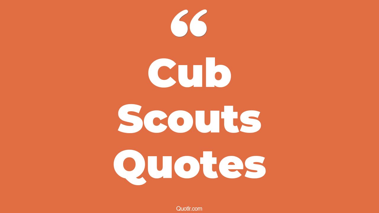 11+ EyeOpening Cub Scouts Quotes That Will Inspire Your Inner Self