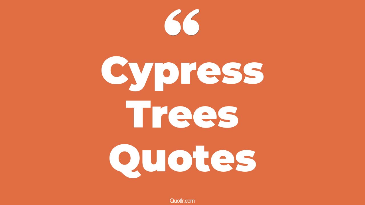 12+ Sensual Cypress Trees Quotes That Will Unlock Your True Potential