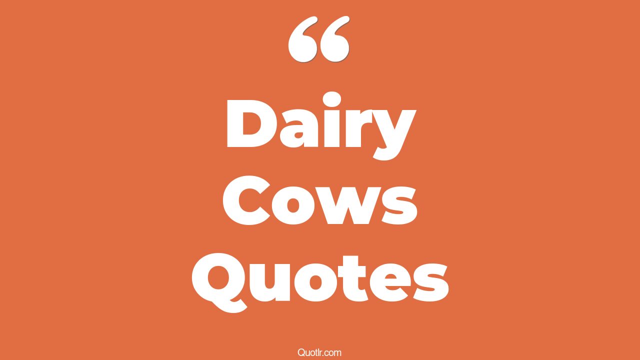 27+ Fascinating Dairy Cows Quotes That Will Unlock Your True Potential