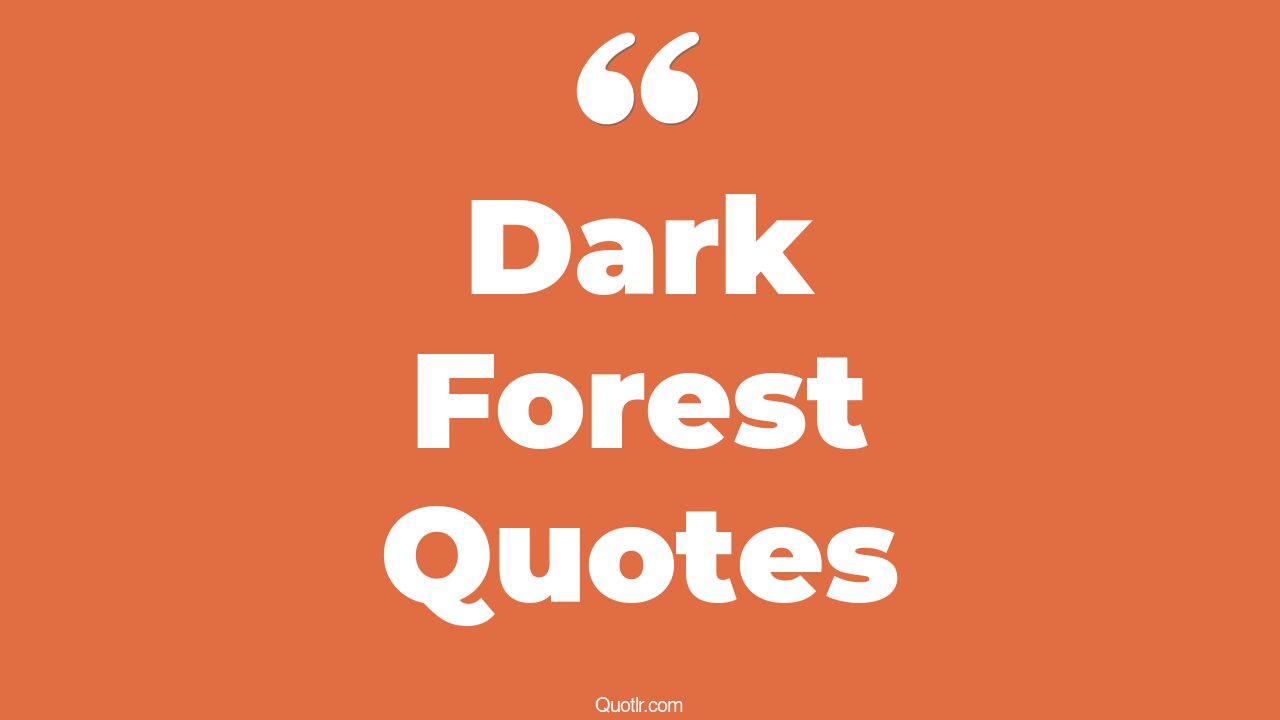 35+ EyeOpening Dark Forest Quotes That Will Inspire Your Inner Self