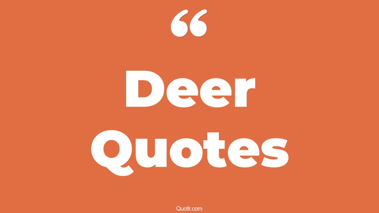 45+ Jawdropping Deer Quotes That Will Unlock Your True Potential