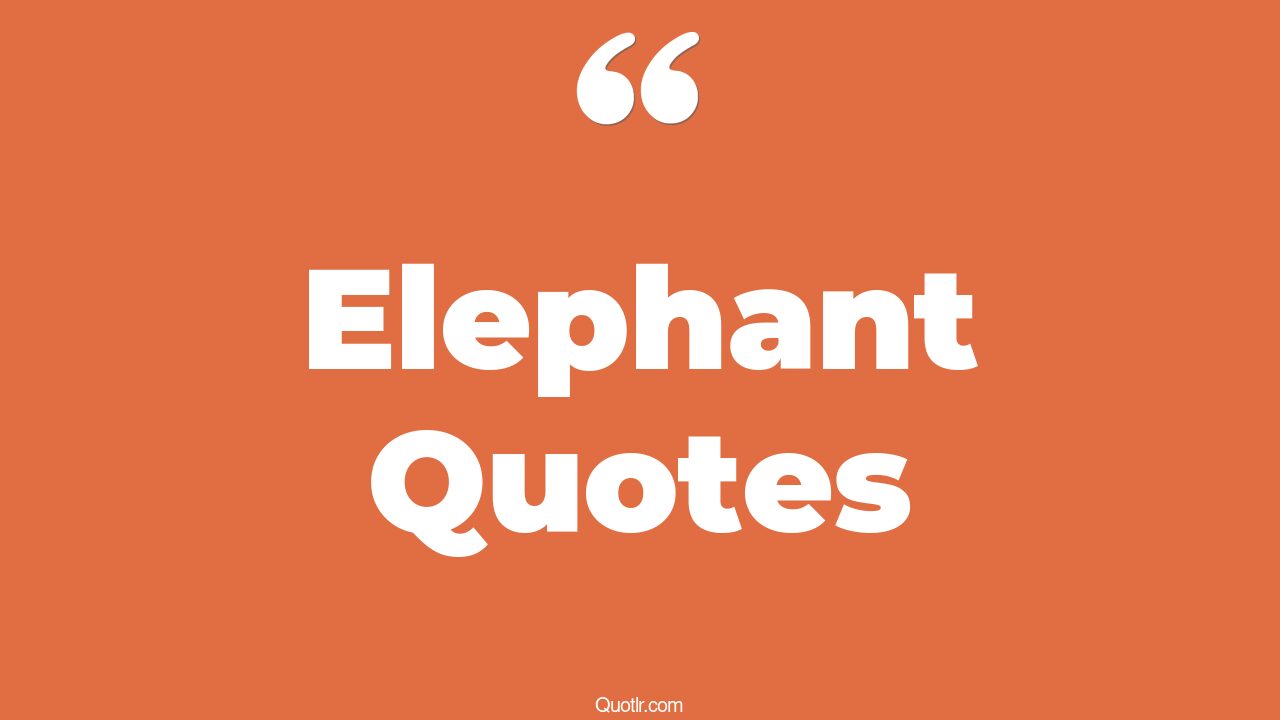 45+ Strong Elephant Quotes That Will Unlock Your True Potential