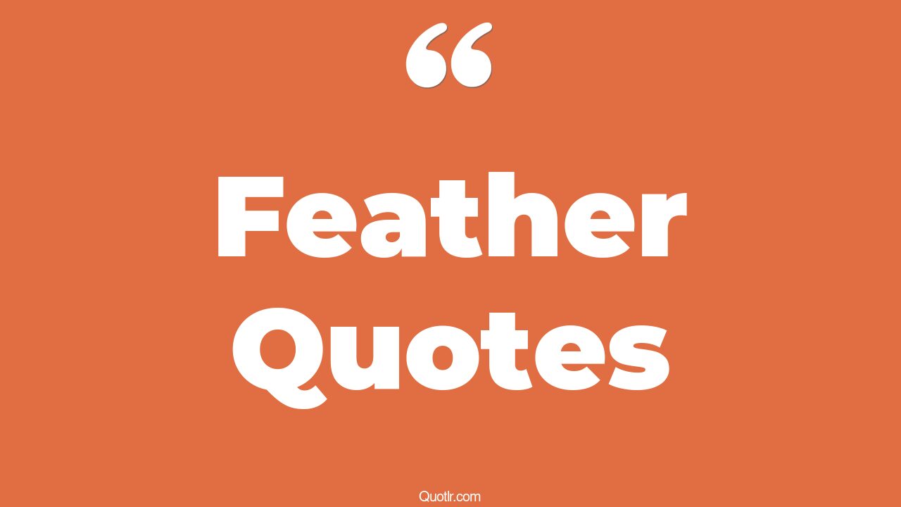 45+ Stunning Feather Quotes That Will Unlock Your True Potential
