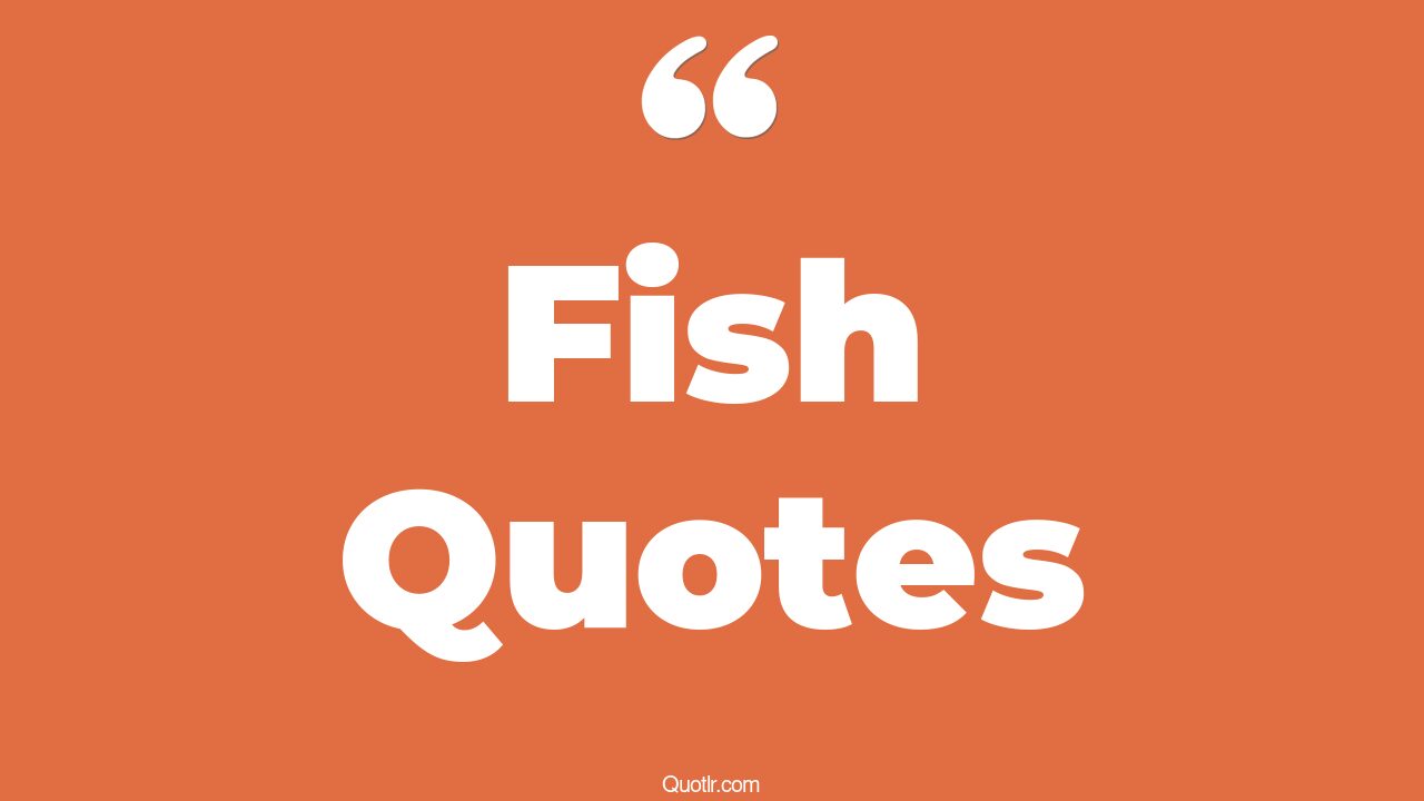 45 Profound Big Fish Quotes jellyfish, pet fish quotes
